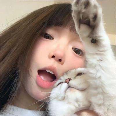 中央公园第三季